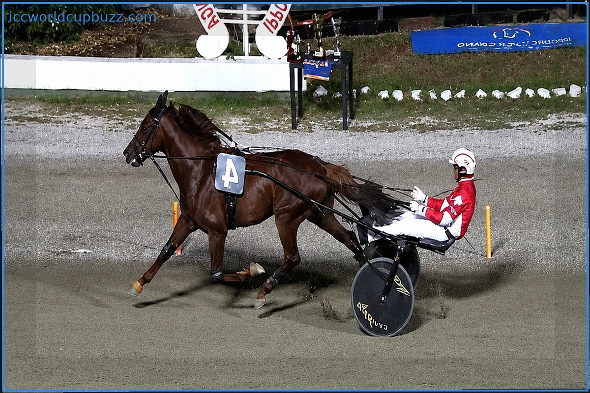 Indianfire Wf Dominates Liguria Region Grand Prix